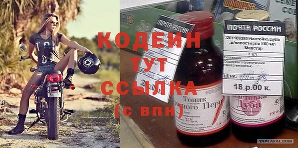 стаф Пересвет